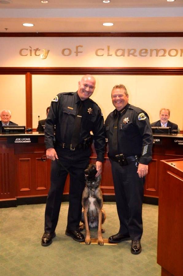 New+Police+Dog+Joins+the+Claremont+Force