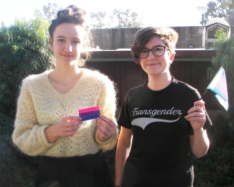 GSA Club Looks To End Prejudice and Hatred on CHS Campus