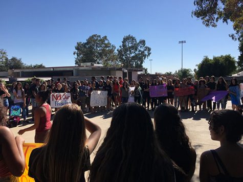 CHS Clubs Trump the Election Results and Unite the Student Body