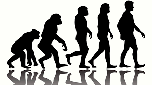Should Evolution Be Taught at CHS?