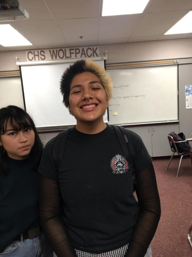 Mejia: First Female in CHS History to Wrestle Her Way Up to CIF State