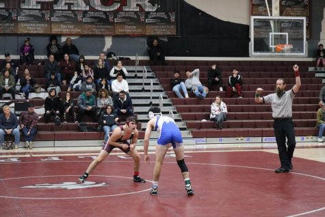 CHS athletes all have guts, but only select sports get glory