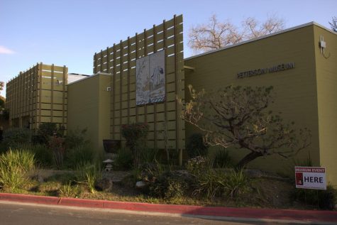Petterson Museum celebrates Japanese art and culture