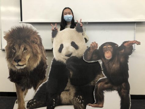 Reporter Anna Jiang posing with the Wolfpackets room cardboard cut out mascots