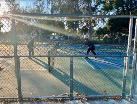 Badminton + Tennis = Pickleball