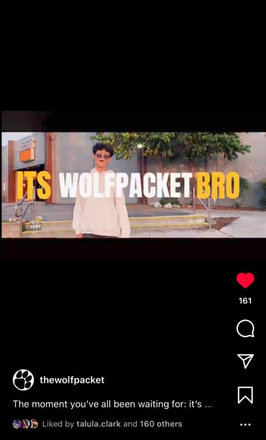 SATIRE: It’s Wolfpacket Bro: CHS one hit wonders