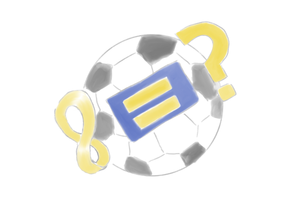 World Cup equality