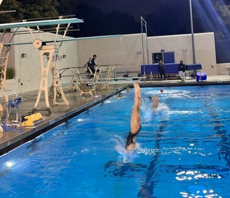 Petrocelly and Lucke both dive at once at the Pomona-Pitzer Hadelman Pool.