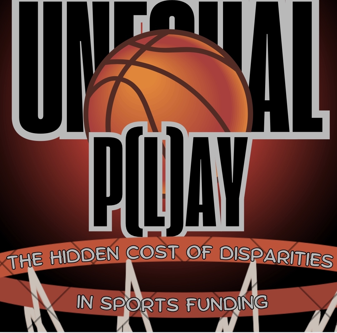 Unequal P(l)ay: the hidden cost of disparities in sports funding